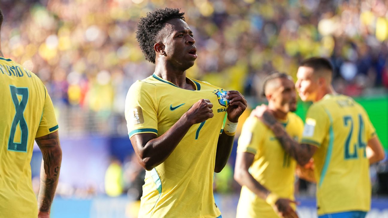 Brazil-Vini