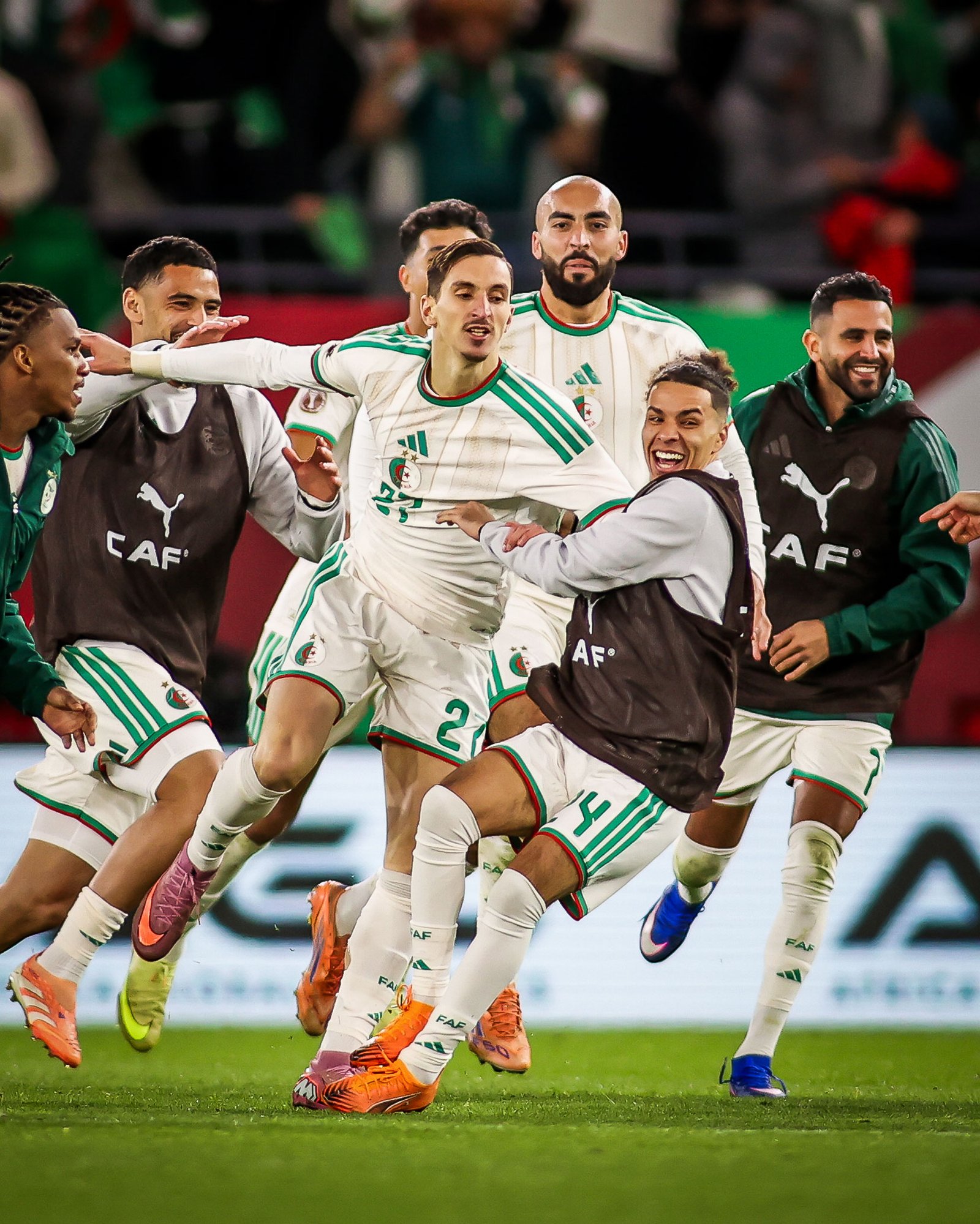 Algeria national football team players celebrate a goal on the field in white and green kits.