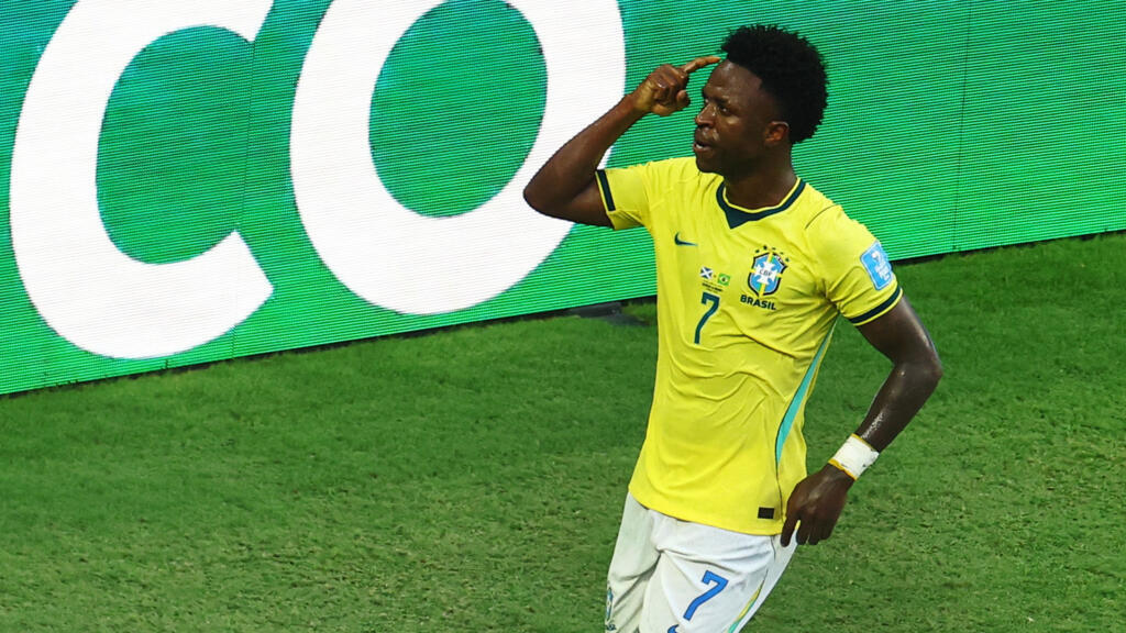 Vini-brazil Vini-brazil