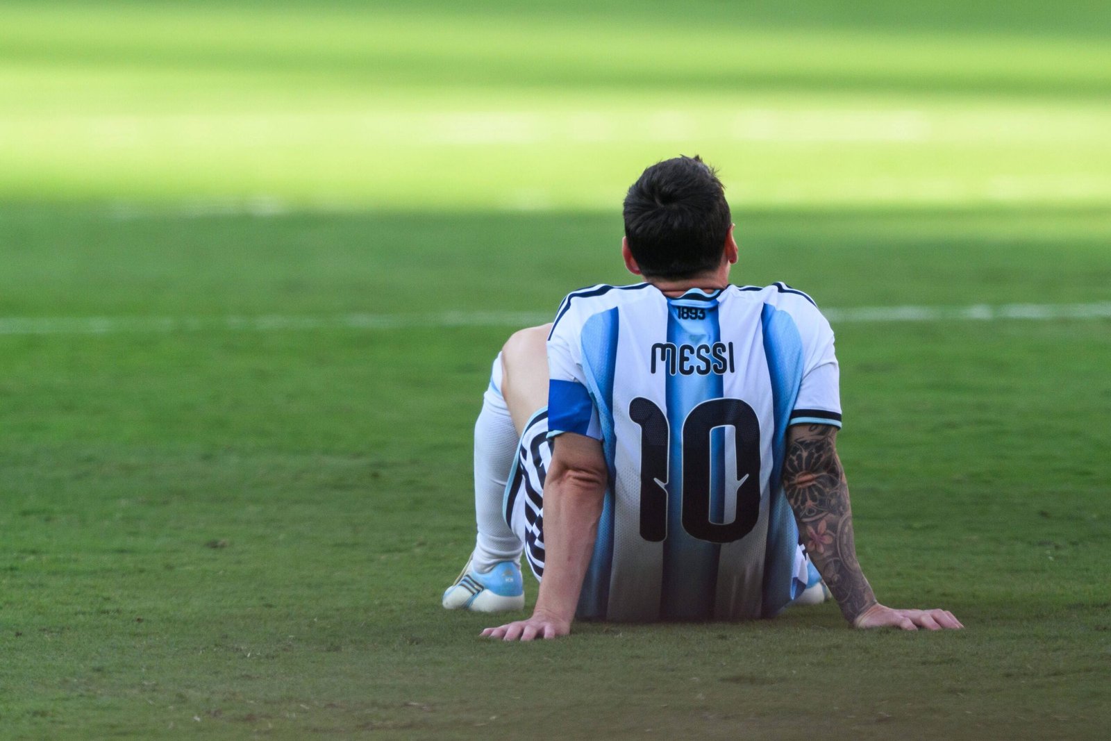 Soccer player sits on the grass with back to camera, wearing a blue-and-white striped jersey with the number 10.