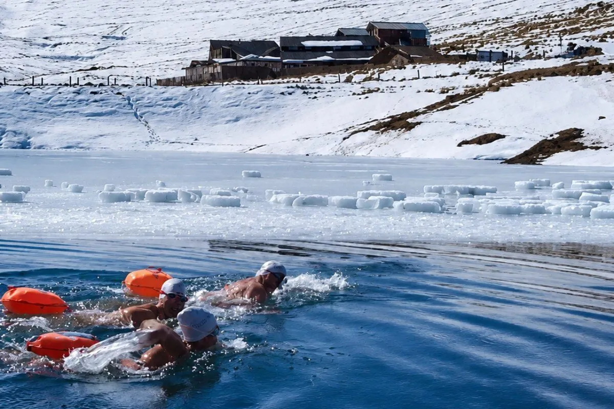 Cold-weather swimming scene: swimmers with white caps and orange buoys swim in a blue, icy lake, with a snow-covered shore and buildings in the background. Cold-weather swimming scene: swimmers with white caps and orange buoys swim in a blue, icy lake, with a snow-covered shore and buildings in the background.