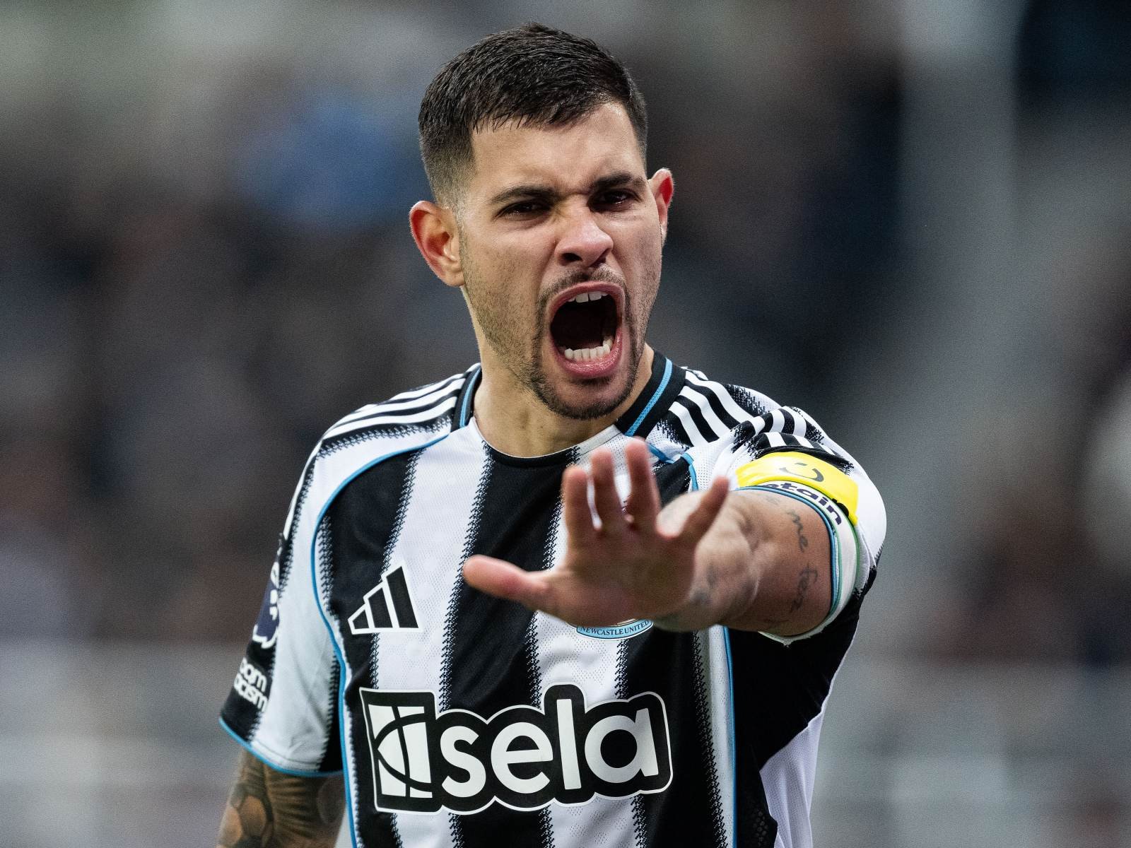 Football player in a Newcastle United striped jersey yelling with mouth wide open and hand raised toward the camera, during a match.